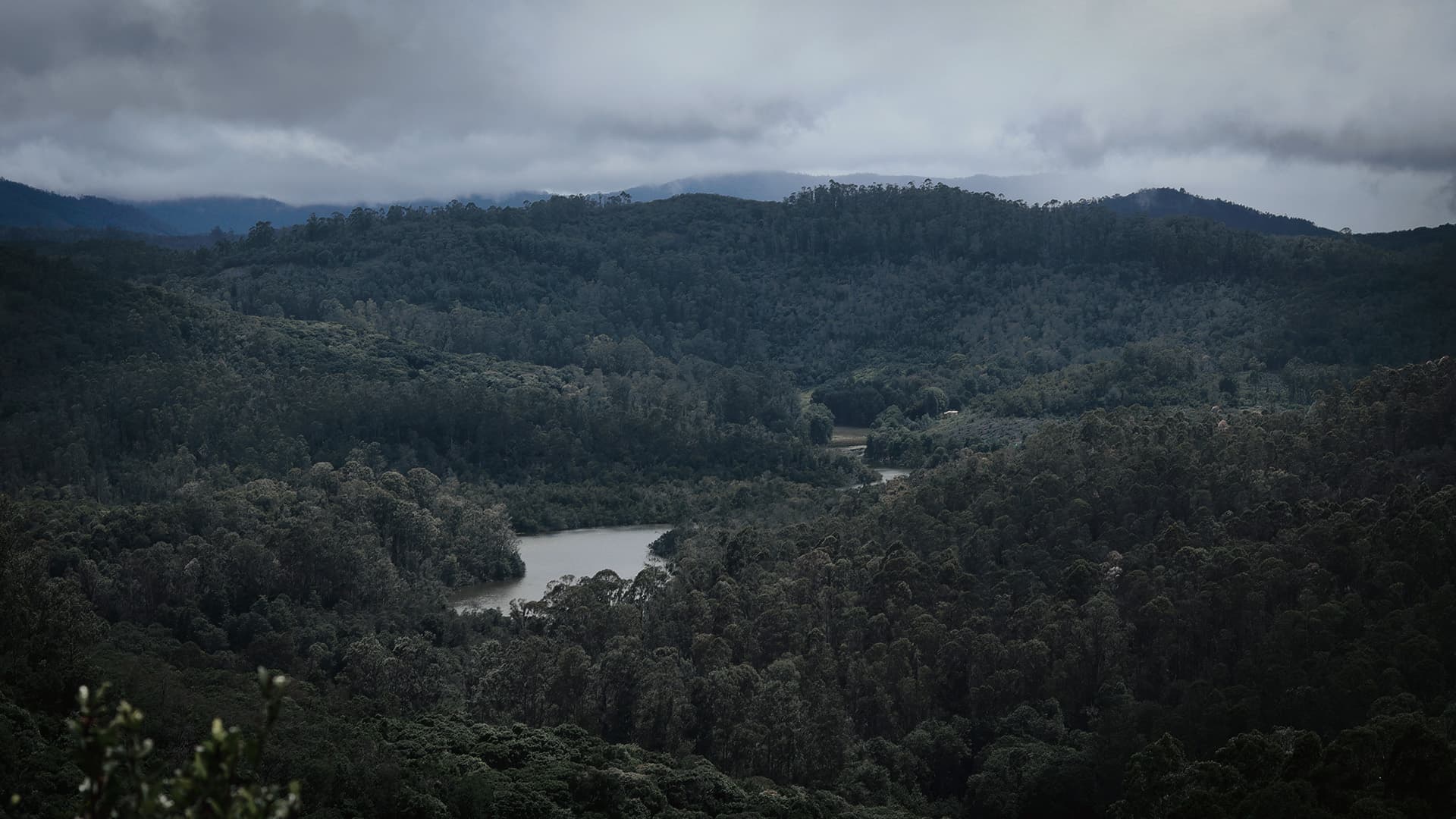 Description of the image