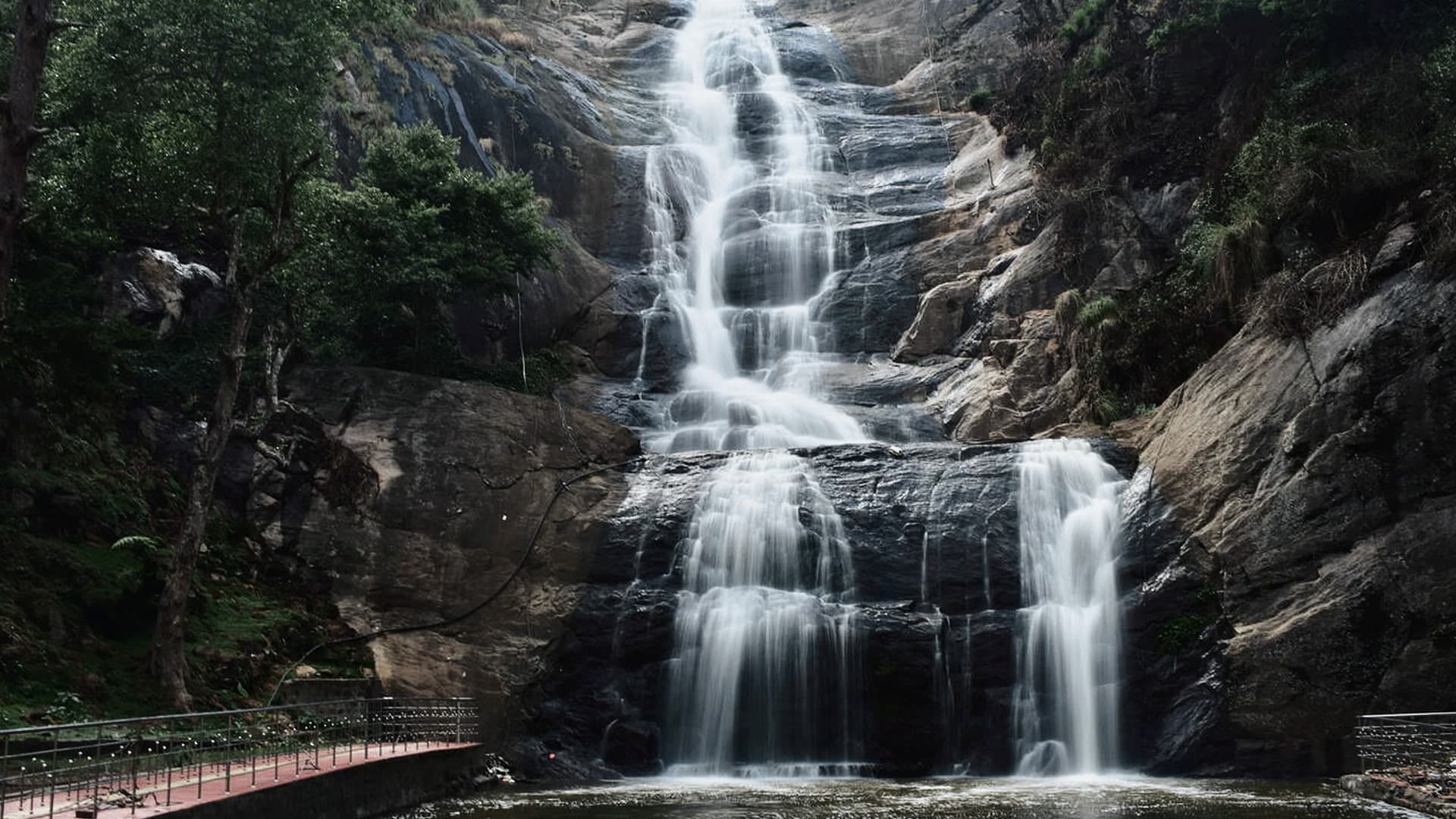 Description of the image