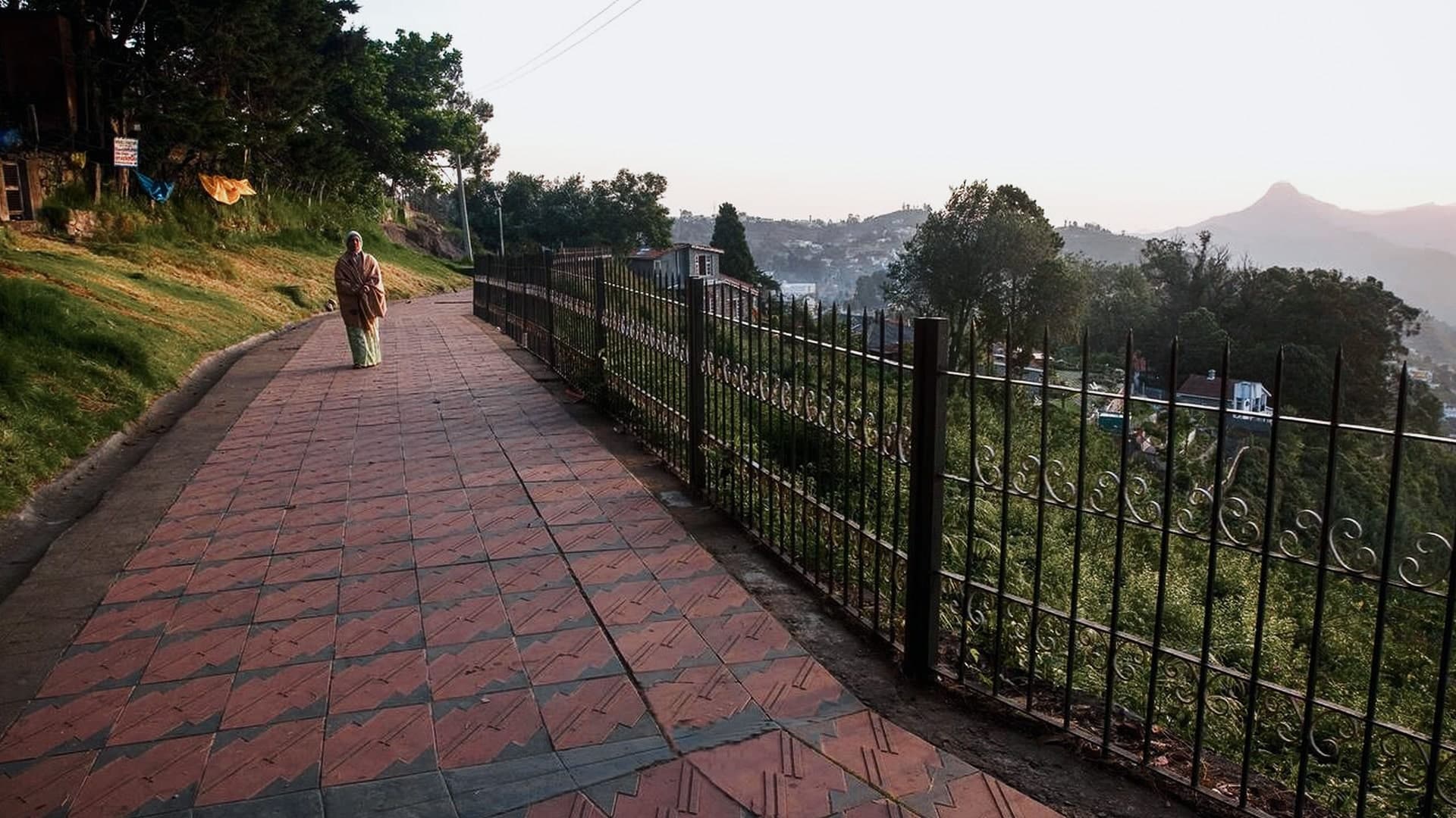 Description of the image