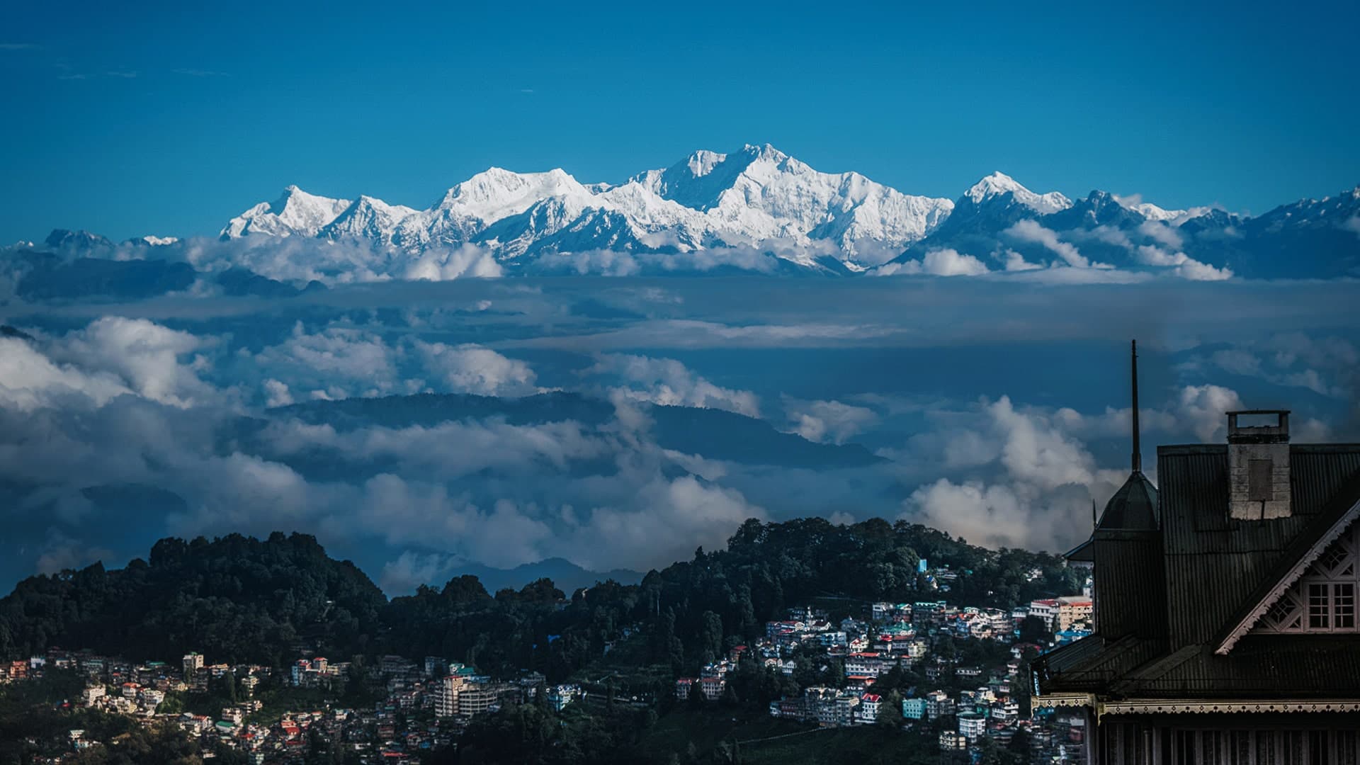 Description of the image