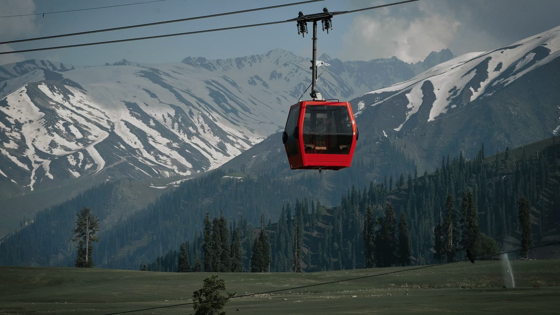 Description of the image