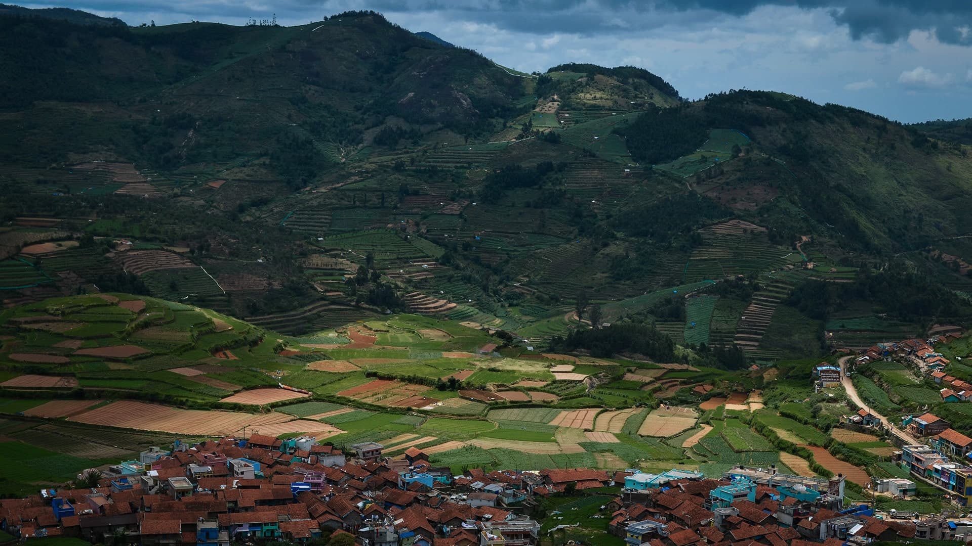 Description of the image