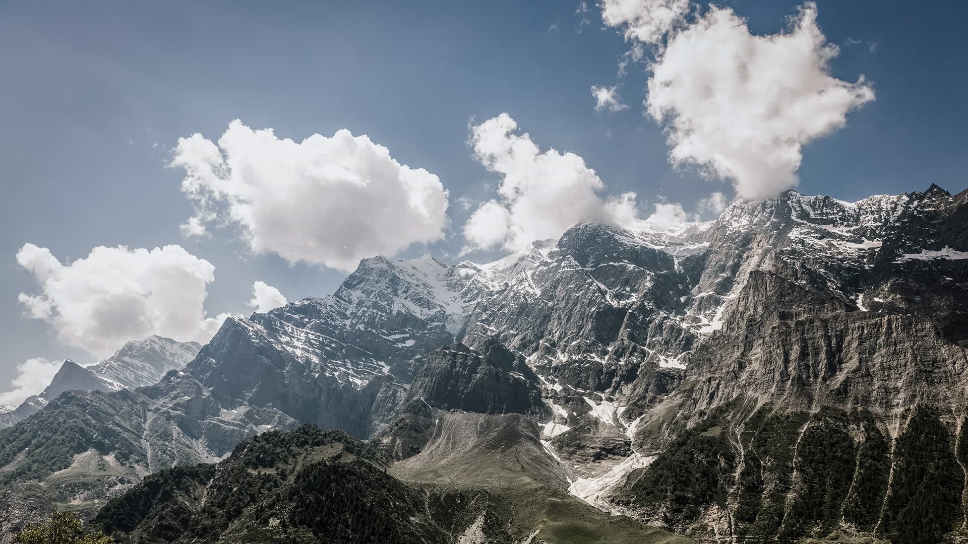 Description of the image