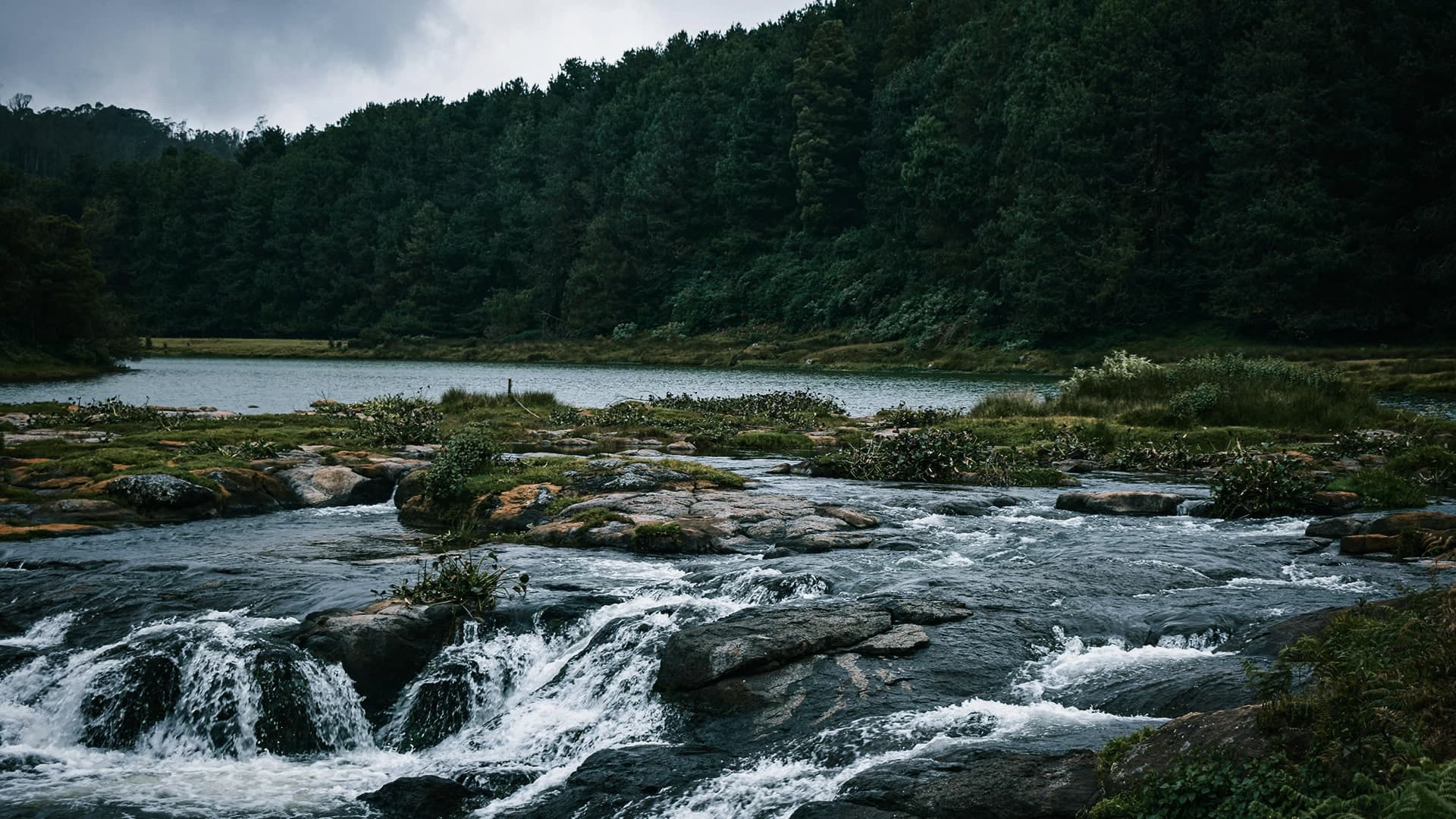 Description of the image