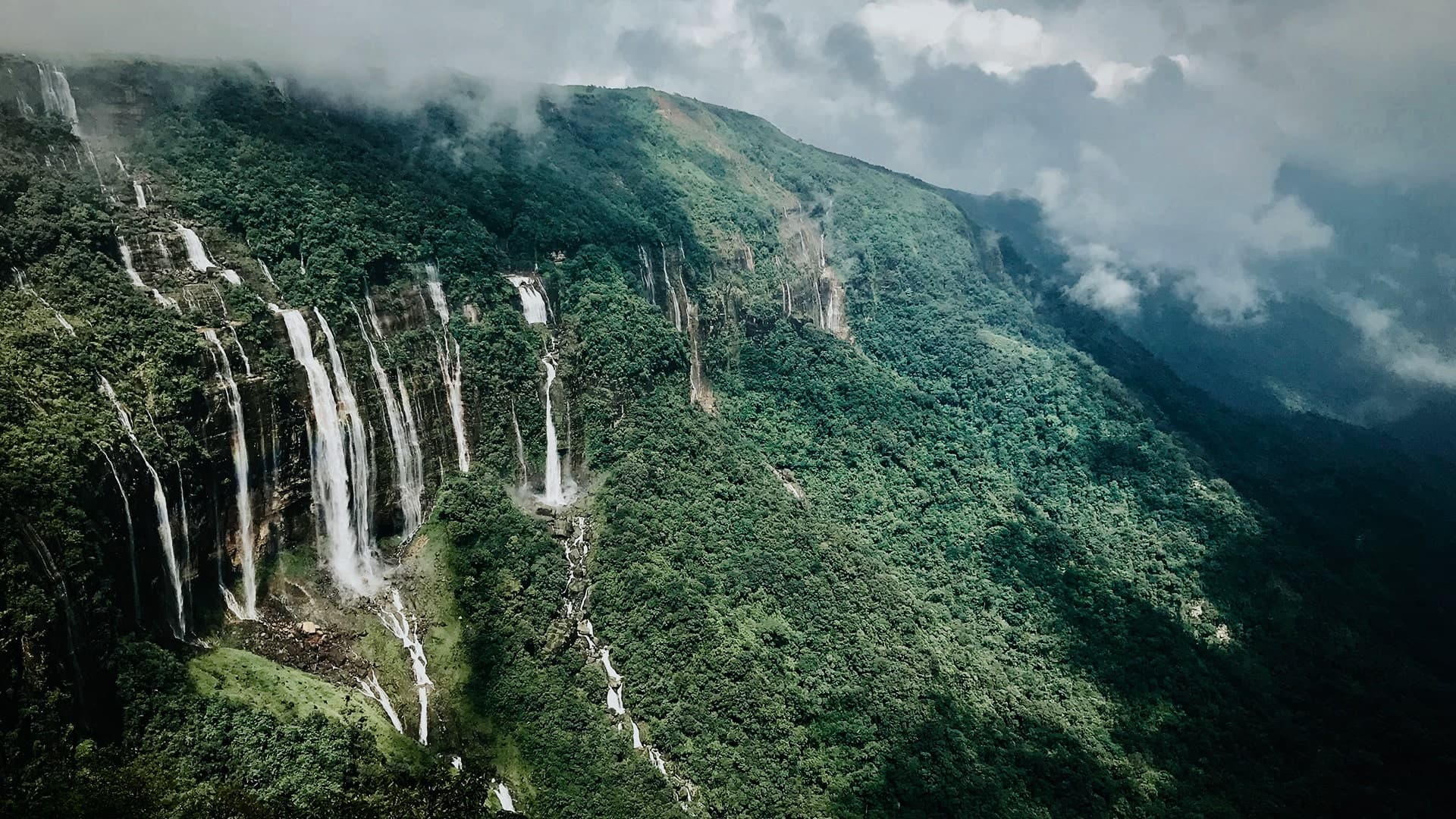 Description of the image