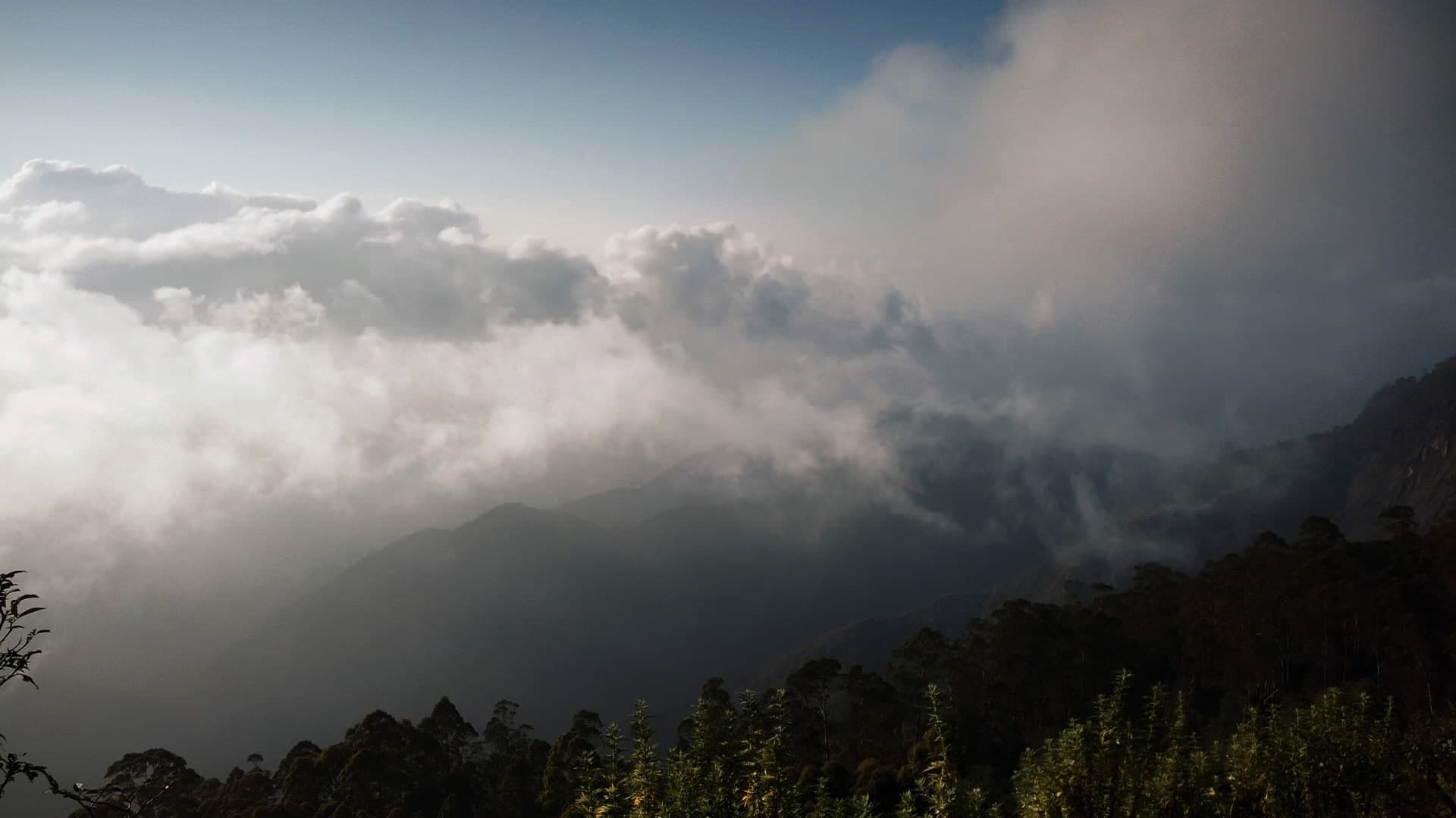 Description of the image