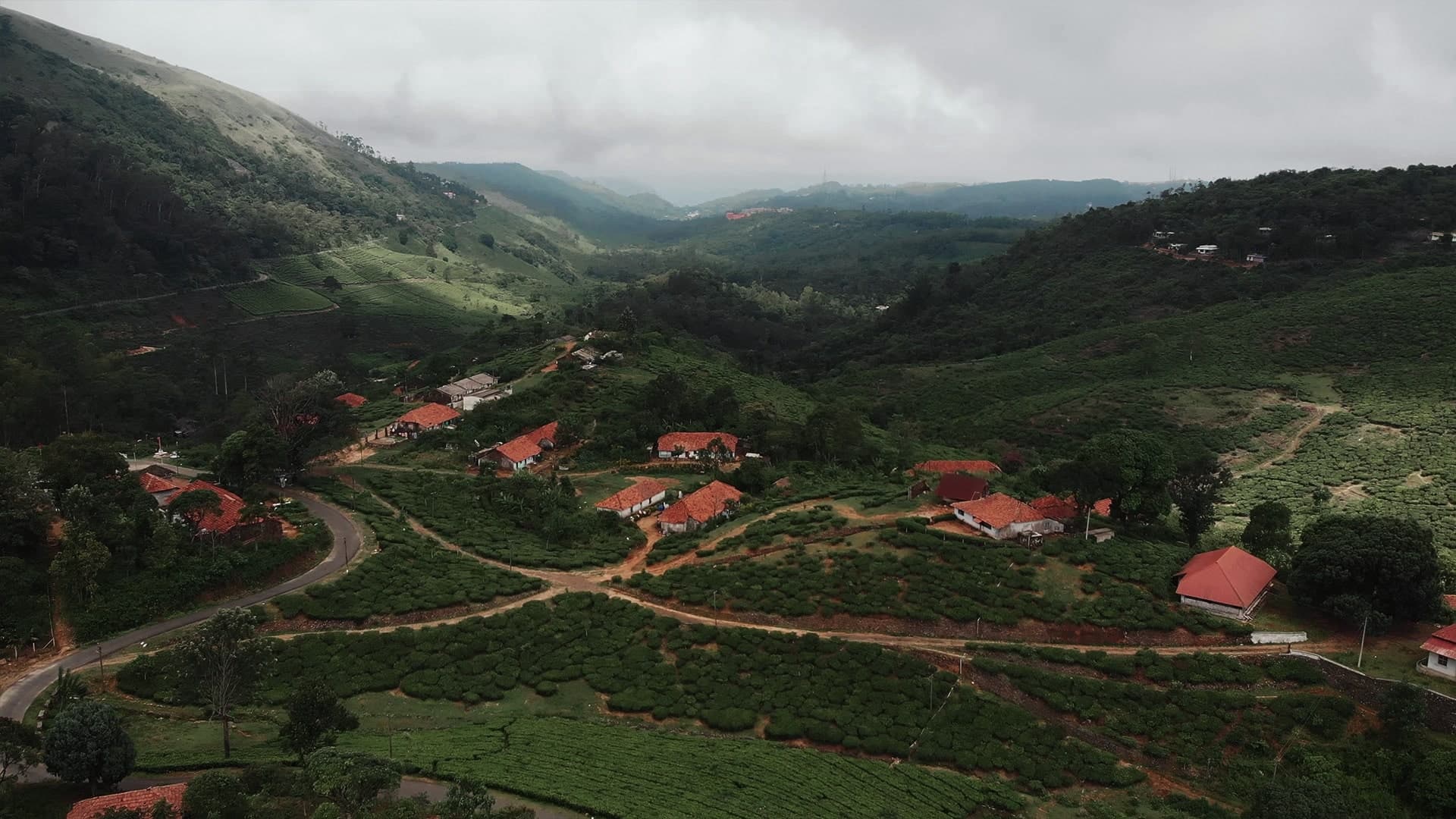 Description of the image